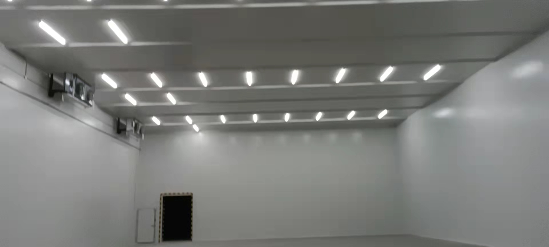 建造40000㎡低温冷藏库需要的费用是多少？